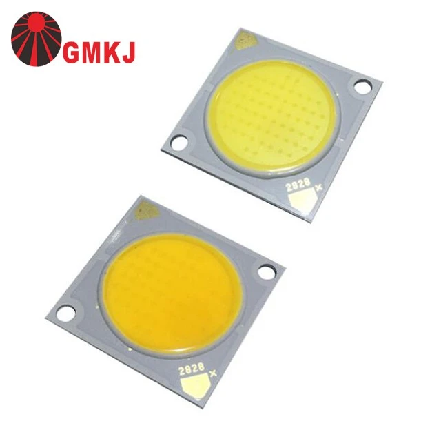 Cool White 6000-6500k 1919 COB 18w Led Chip Diode