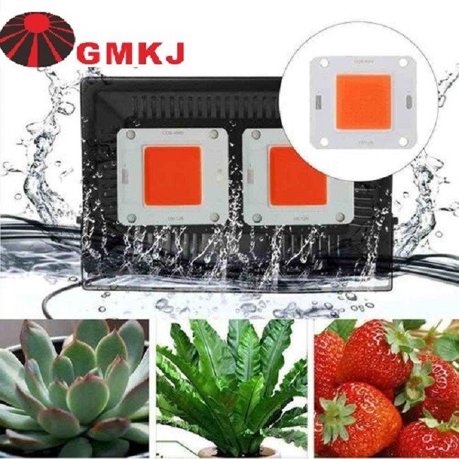 chip led cob 50w