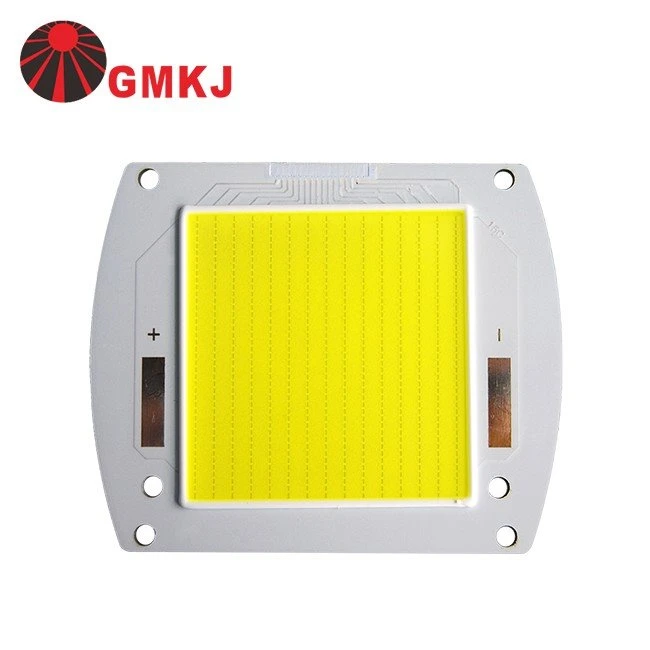 cob 300w